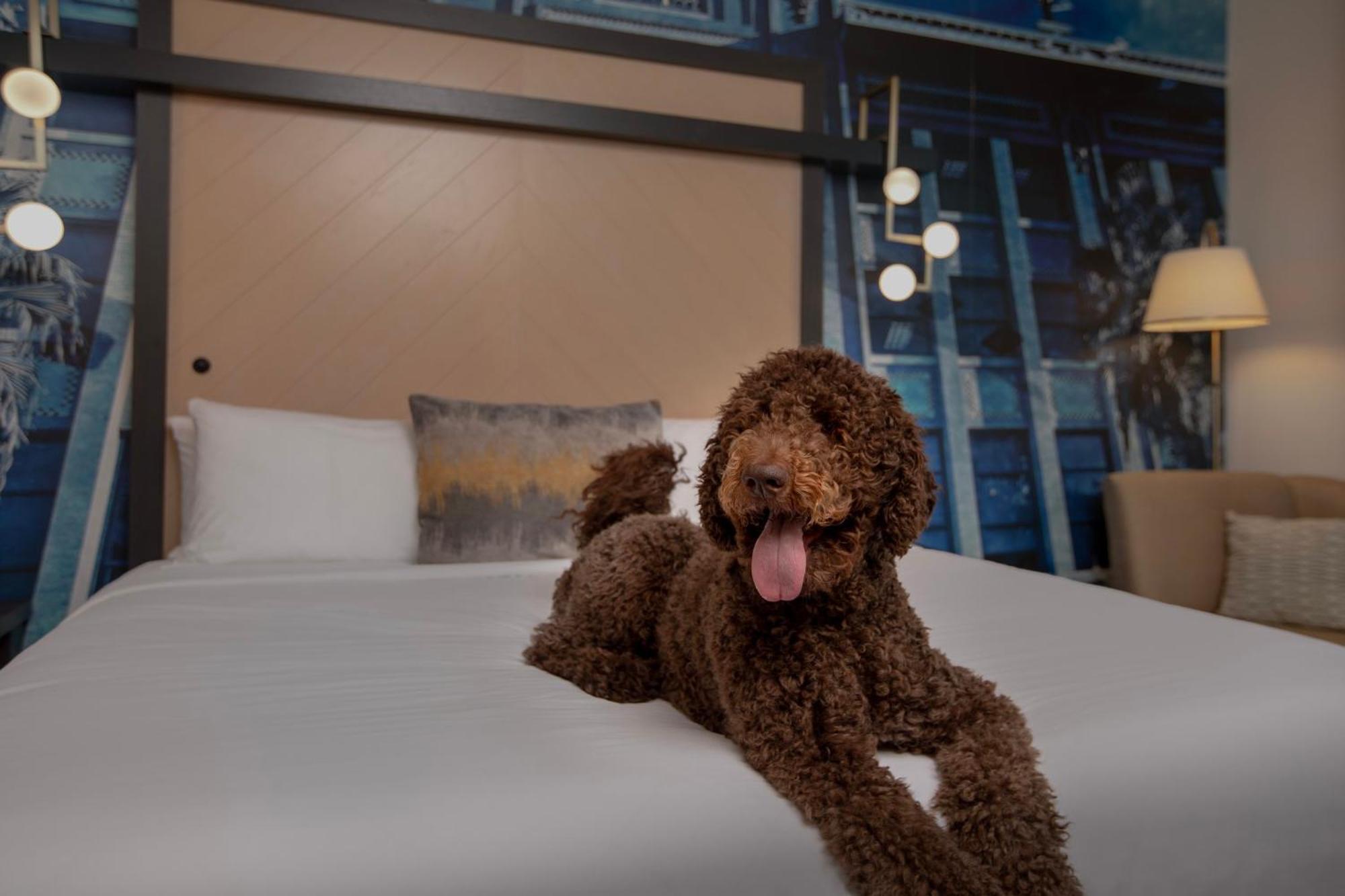 Hotel Indigo Jacksonville-Deerwood Park By Ihg Extérieur photo